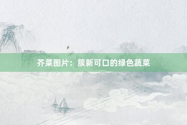芥菜图片：簇新可口的绿色蔬菜